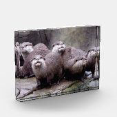 カワウソの家族 フォトブロック (左)