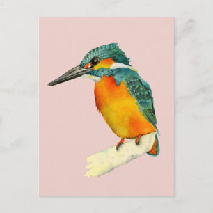 カワウソの絵画水色 ポストカード