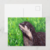 カワウソの絵 ポストカード (正面/裏面)