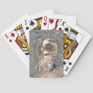 カワウソの背部浮遊物 トランプ