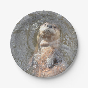 カワウソの背部浮遊物 ペーパープレート
