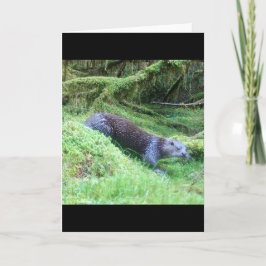 カワウソの自然の風景 川の野生生物のイラスト カード