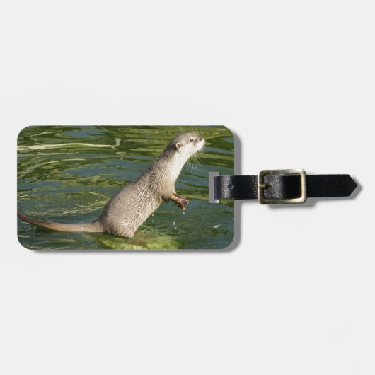 カワウソの荷物のラベル ラゲッジタグ (正面横)