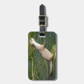 カワウソの荷物のラベル ラゲッジタグ (正面縦)