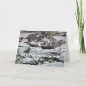 カワウソ付き二日酔い誕生日カード カード (正面)