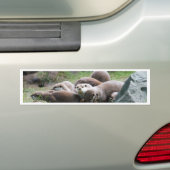 カワウソ家族 バンパーステッカー (車上)