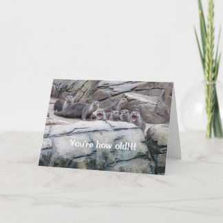 カワウソ誕生日カード カード