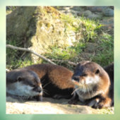 カワウソ ウィンドウサイン (シート3)