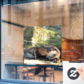 カワウソ ウィンドウサイン (カフェ窓)