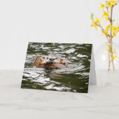 カワウソ カード (黄色い花)