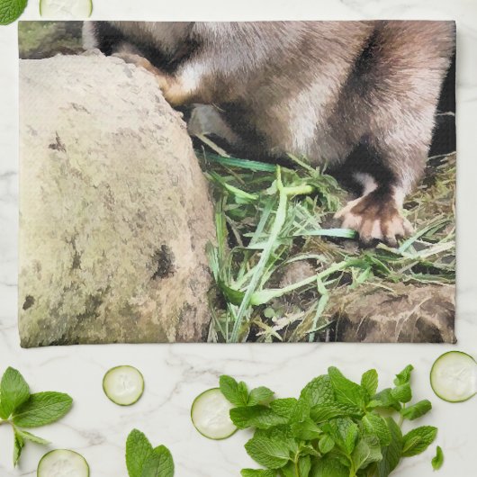 カワウソ キッチンタオル (折り畳み)