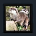 カワウソ ギフトボックス<br><div class="desc">非常に可愛い小さなカワウソのペアの水色のデザイン。</div>