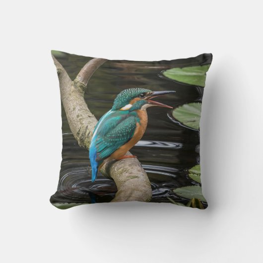 カワウソ クッション (正面)