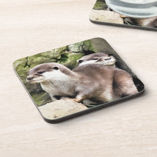 カワウソ コースター (左側)