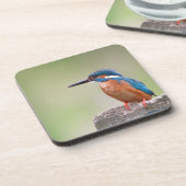 カワウソ。 コースター (左側)