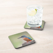 カワウソ。 コースター (右側)