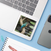 カワウソ シール (ノートパソコンとiPhone)