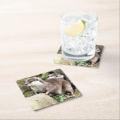 カワウソ スクエアペーパーコースター (インサイチュ)