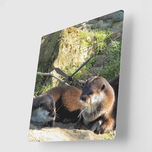 カワウソ スクエア壁時計 (傾斜)