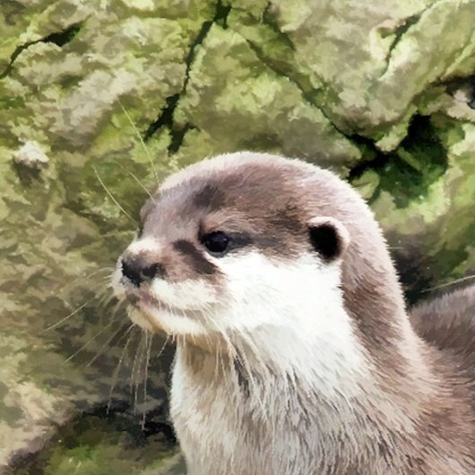 カワウソ セラミックオーナメント