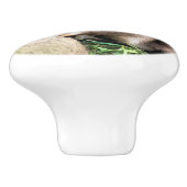 カワウソ セラミックノブ (側面)