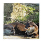 カワウソ タイル (正面)