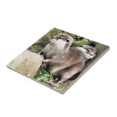 カワウソ タイル (側面)