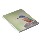 カワウソ。 ノートパッド (アングル)