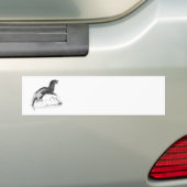 カワウソ バンパーステッカー (車上)