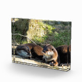 カワウソ フォトブロック (右)