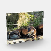 カワウソ フォトブロック (左)