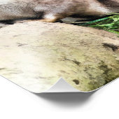 カワウソ フォトプリント            (角)