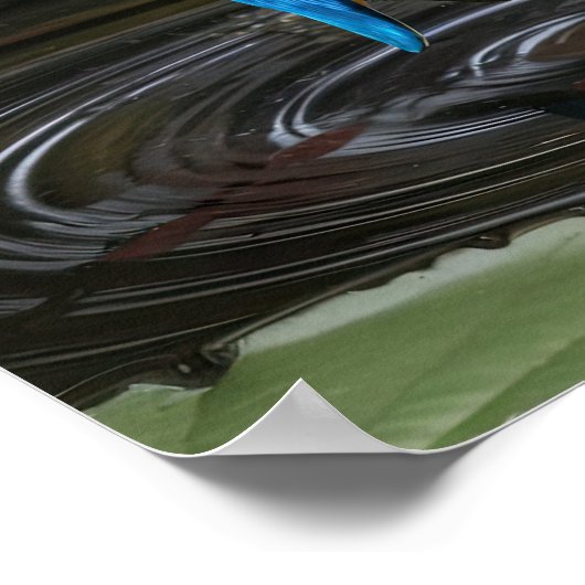 カワウソ ポスター (角)