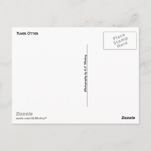 カワウソ ポストカード (裏面)
