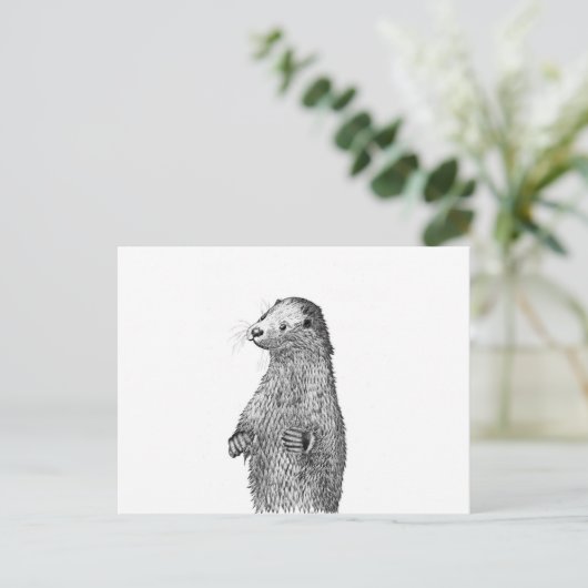 カワウソ ポストカード (スタンド正面)