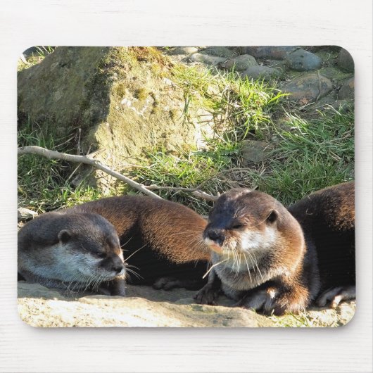 カワウソ マウスパッド (正面)