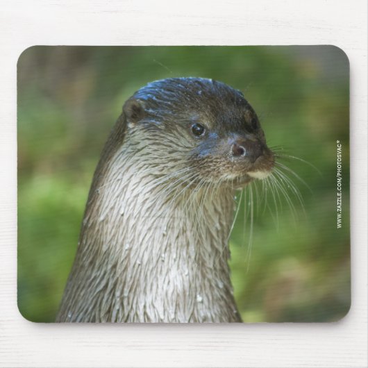 カワウソ マウスパッド (正面)