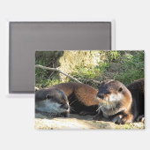 カワウソ マグネット (正面/裏面)