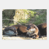 カワウソ ラッピングペーパーシート (正面2)