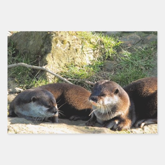 カワウソ ラッピングペーパーシート (正面)