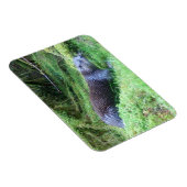 カワウソ 穏やかな水辺の動物 アート ネイチャー マグネット (右側)