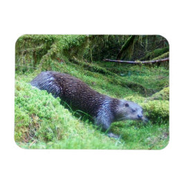 カワウソ 穏やかな水辺の動物 アート ネイチャー マグネット