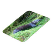 カワウソ 穏やかな水辺の動物 アート ネイチャー マグネット (左側)
