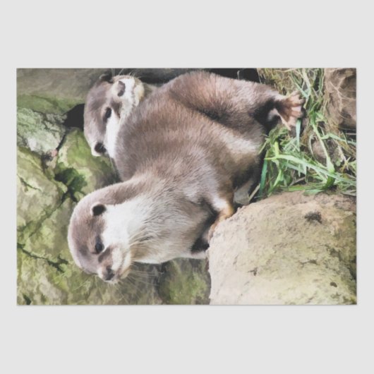 カワウソ 薄葉紙 (正面)