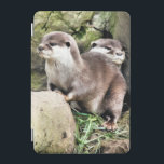 カワウソ iPad MINIカバー<br><div class="desc">非常に可愛い小さなカワウソのペアの水色のデザイン。</div>