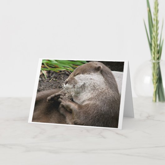 カワウソlyすばらしい休日 シーズンカード (正面)