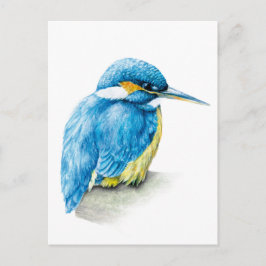カワウ素晴らしィザー絵画水彩絵葉書 ポストカード