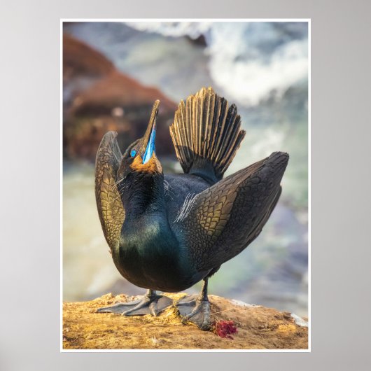 カワウ表示ウォールアート | 海鳥のプリント ポスター (正面)