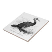 カワウ 古風 鳥 野生生物 イラスト タイル (側面)