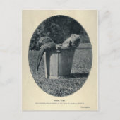 カワカブ ポストカード (正面)